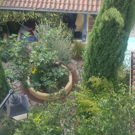 Bed and Breakfast Chez Gillou Boen-sur-Lignon Exterior foto